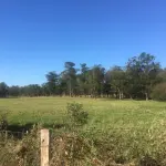LOTE 002 - Uma área de terras, com a área superficial de 110.830,00 M², localizada no lugar demoninado Beco Soares, nº 100, Bairro Fazenda Leão, Sapiranga/RS - Matrícula 18.237
