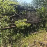 LOTE 002 - GUINDASTE BUCYRUS