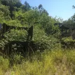 LOTE 002 - GUINDASTE BUCYRUS