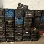 LOTE 169 - Moldes de calçados(Formas) diversos e Caixas de plástico