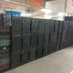 LOTE 137 - Caixas de plástico( 30 un )