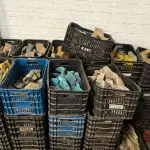 LOTE 169 - Moldes de calçados(Formas) diversos e Caixas de plástico