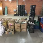 LOTE 165 - Sucata de formas