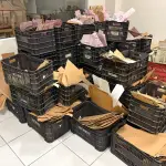 LOTE 168 - Moldes de roupa e bolsas diversos e Caixas de plástico