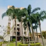 LOTE 006 - O Box nº 23 do Edifício Vale Dourado, localizado na frente do andar térreo ou primeiro pavimento(pilotis), com área real privativa de 19,75 m², situado na Rua José de Alencar, nº 195, Bairro Rio Branco, Novo Hamburgo/RS. Matrícula 73.486