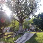 LOTE 003 - Apartamento nº 302, Edifício Carvalho, Bloco 11 do Conjunto Residencial Floresta Negra, localizado no 3º pavimento, com área real de uso privativo de 65,10 m², situado na Rua Coronel Apolinário de Moraes, nº 1215, Bairro Bela Vista, Montenegro/RS. Registrado sob matrícula nº 24.469
